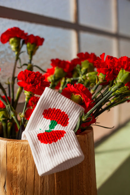 Chaussettes Pegada " Freedom "