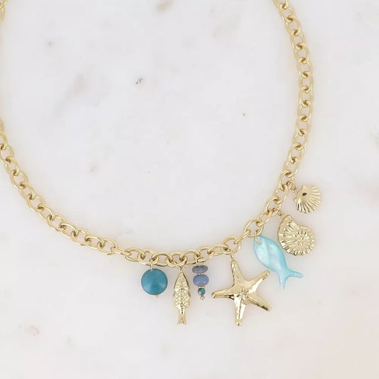 Colliers coquillages