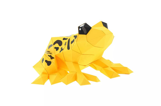 Kit origami grenouille