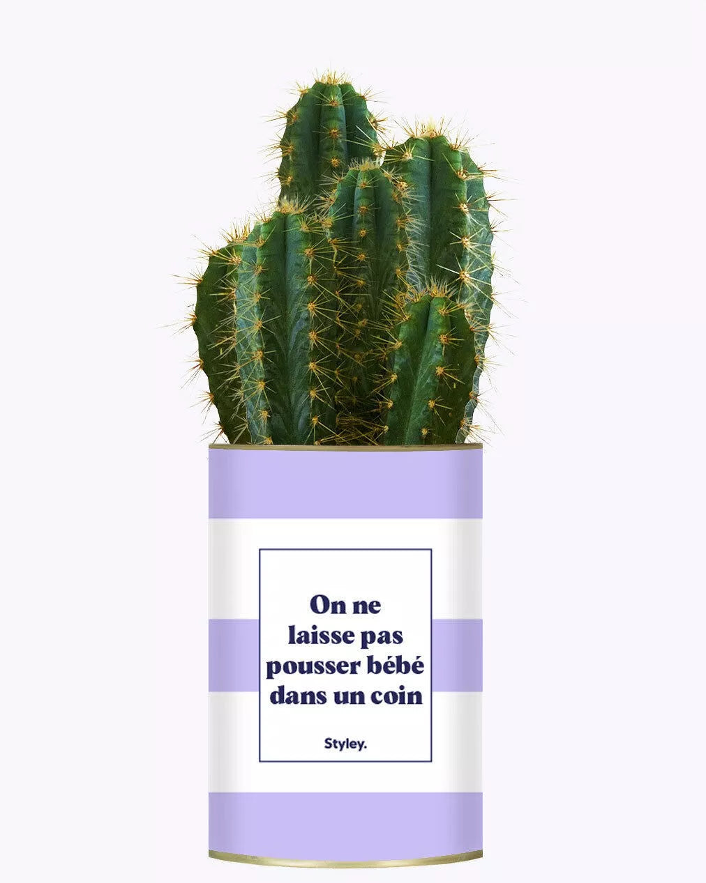 Cactus "On ne laisse pas bébé pousser dans un coin"