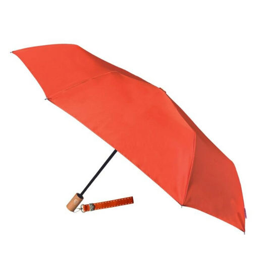 Parapluies colorés écoresponsables – Résistants au vent et automatiques