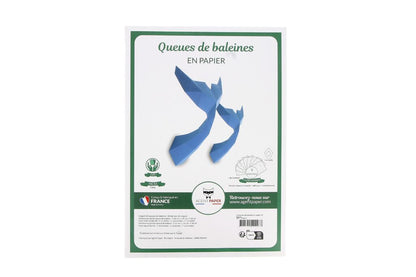 Kit origami queues de baleines 3D